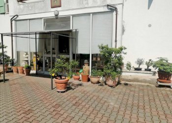 Foto 4 - Villa Via francesco Contuzzi, Santa Maria Nuova - foto 4