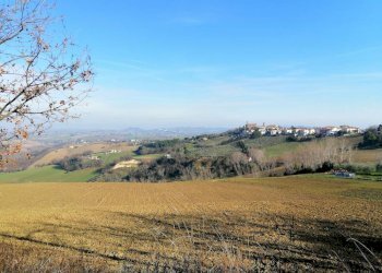 Foto 22 - Villa Via francesco Contuzzi, Santa Maria Nuova - foto 19