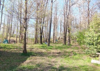 Foto 18 - Semi-detached house Fraz. Cabitti - Costabella, Pallare - photo 18