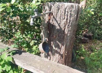 Foto 21 - Semi-detached house Fraz. Cabitti - Costabella, Pallare - photo 21