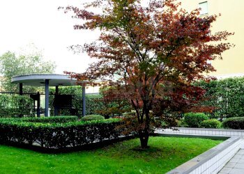 Foto 22 - Appartamento Via pacinotti
 
3, Monza - foto 22