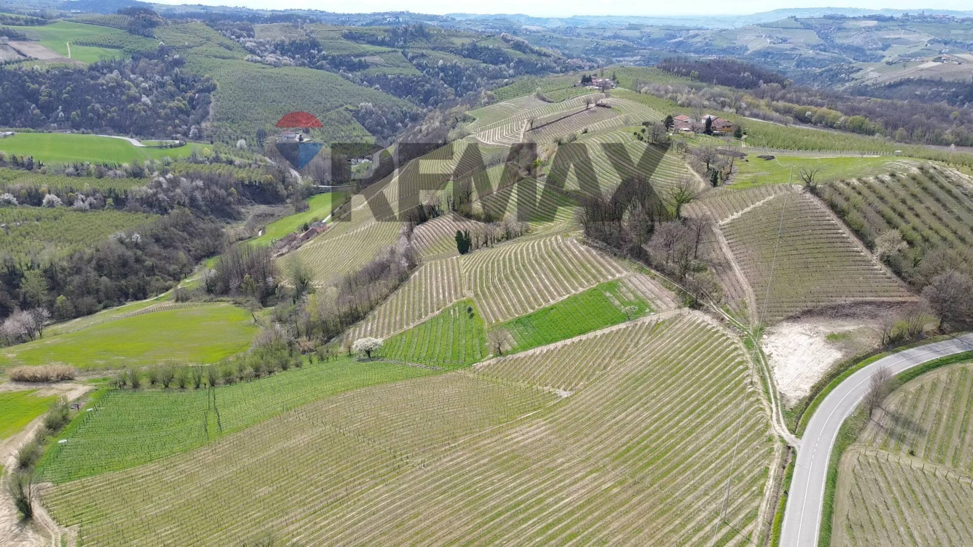 Vista delle montagne - Agricultural land Frazione San Rocco Cherasca
 
96, Alba - photo 1