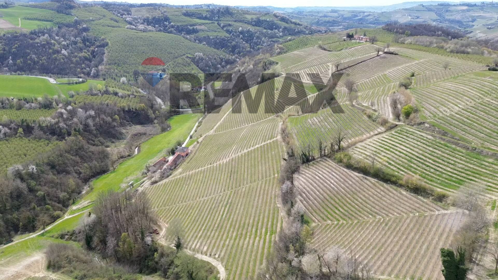 Vista delle montagne - Agricultural land Frazione San Rocco Cherasca
 
96, Alba - photo 2