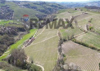 Vista delle montagne - Agricultural land Frazione San Rocco Cherasca
 
96, Alba - photo 2