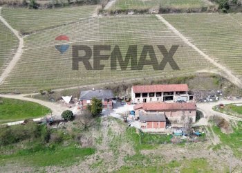 Posizione della mappa - Agricultural land Frazione San Rocco Cherasca
 
96, Alba - photo 5