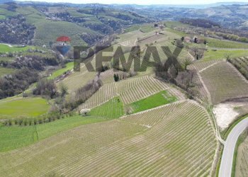 Vista delle montagne - Agricultural land Frazione San Rocco Cherasca
 
96, Alba - photo 7