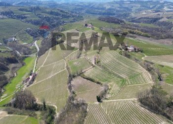 Vista delle montagne - Agricultural land Frazione San Rocco Cherasca
 
96, Alba - photo 15