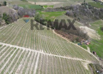 Posizione della mappa - Agricultural land Frazione San Rocco Cherasca
 
96, Alba - photo 18