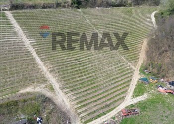 Posizione della mappa - Agricultural land Frazione San Rocco Cherasca
 
96, Alba - photo 19