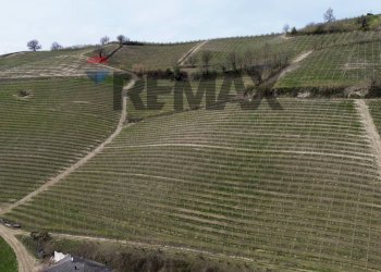 Vista delle montagne - Agricultural land Frazione San Rocco Cherasca
 
96, Alba - photo 20