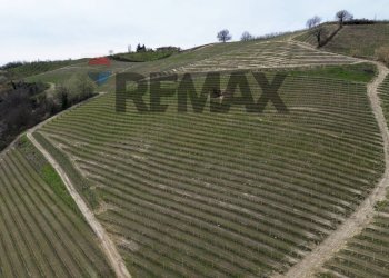 Casa all\'aperto - Agricultural land Frazione San Rocco Cherasca
 
96, Alba - photo 23