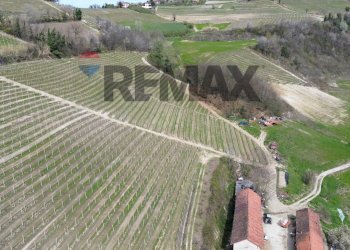 Vista delle montagne - Agricultural land Frazione San Rocco Cherasca
 
96, Alba - photo 24