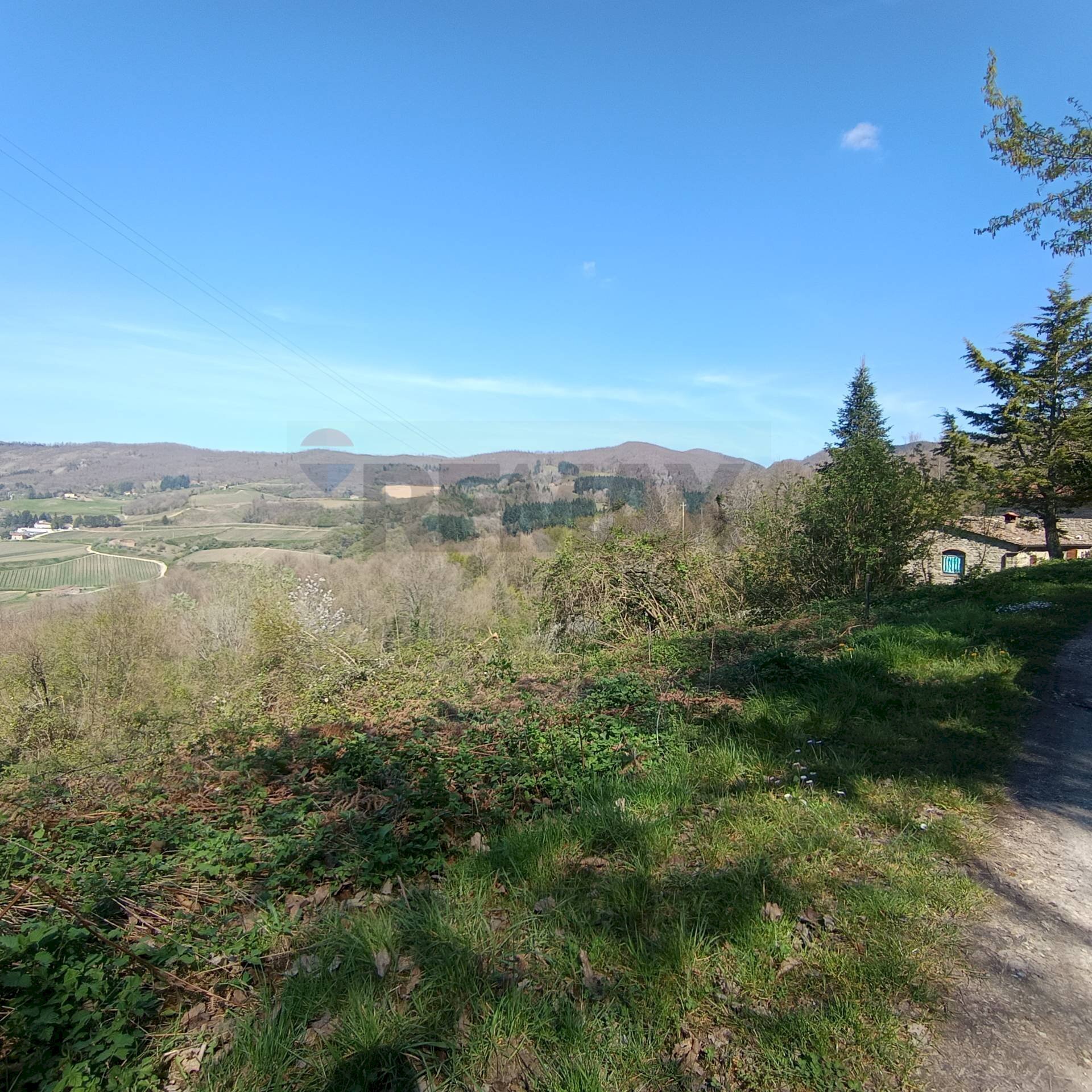 Vista delle montagne - Terreno agricolo LOC. BORSELLI, Pelago - foto 2