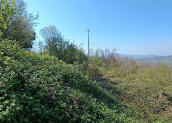Giardino - Terreno agricolo LOC. BORSELLI, Pelago - foto 3