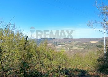 Vista delle montagne - Terreno agricolo LOC. BORSELLI, Pelago - foto 4