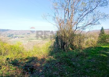 Vista delle montagne - Terreno agricolo LOC. BORSELLI, Pelago - foto 13