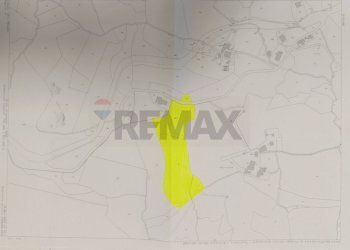 Posizione della mappa - Terreno agricolo LOC. BORSELLI, Pelago - foto 14