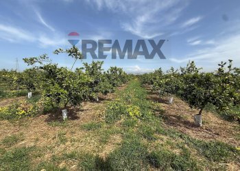 Giardino - Agricultural land Contrada Jungetto, Catania - photo 2