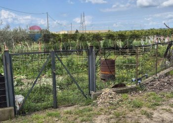 Giardino - Agricultural land Contrada Jungetto, Catania - photo 20