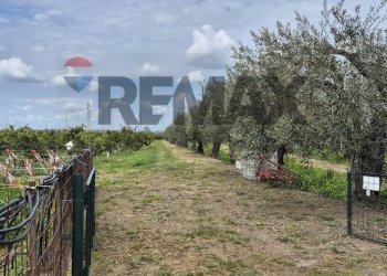 Giardino - Agricultural land Contrada Jungetto, Catania - photo 21