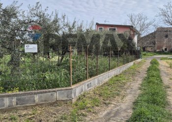 Giardino - Agricultural land Contrada Jungetto, Catania - photo 23