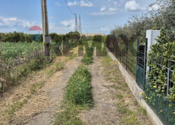 Giardino - Agricultural land Contrada Jungetto, Catania - photo 26