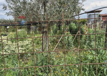Giardino - Agricultural land Contrada Jungetto, Catania - photo 27
