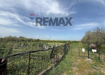 Giardino - Agricultural land Contrada Jungetto, Catania - photo 38