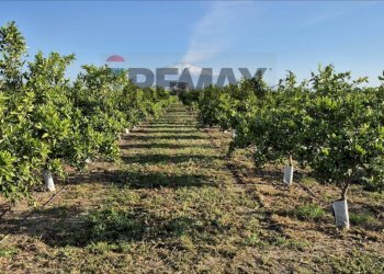 Giardino - Agricultural land Contrada Jungetto, Catania - photo 1