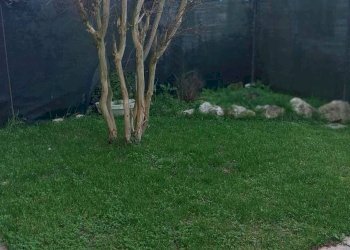 Giardino - Villa a Schiera Via Fratelli Bandiera
 
137, Sermide e Felonica - foto 23