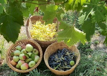 Foto 10 - Semi-detached house Viale rimembranza
 
14, Civitella Casanova - photo 10