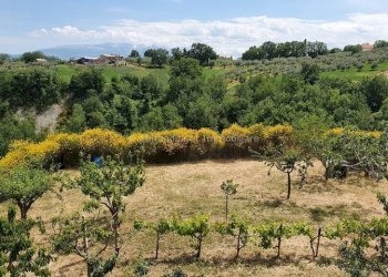 Foto 15 - Semi-detached house Viale rimembranza
 
14, Civitella Casanova - photo 15