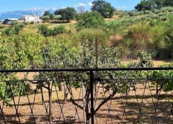 Foto 39 - Semi-detached house Viale rimembranza
 
14, Civitella Casanova - photo 39