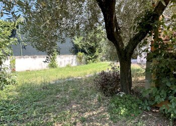 Foto 16 - Villa Via Fratini, Pesaro - foto 16