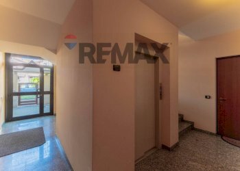 Hall / corridoio - Trilocale via carreggia
 
105b, Cardano al Campo - foto 24