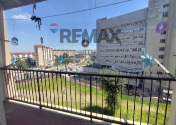 Balcone - Quadrilocale Viale Della Resistenza
 
167, Napoli - foto 22