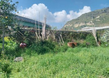 Vista delle montagne - Rustic Pozzuoli - photo 4