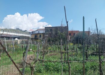 Vista delle montagne - Rustic Pozzuoli - photo 6