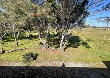 Giardino - Villa SP 51 DIR TG 8
 
SNC, Campobello di Mazara - photo 49