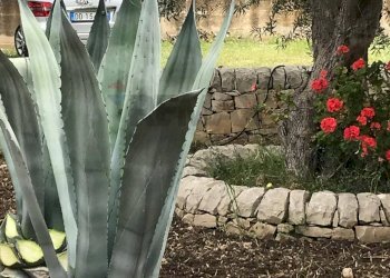 Dettagli - Appartamento Chiaramonte Gulfi - foto 11