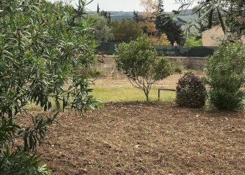 Giardino - Appartamento Chiaramonte Gulfi - foto 12