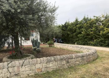 Giardino - Appartamento Chiaramonte Gulfi - foto 15