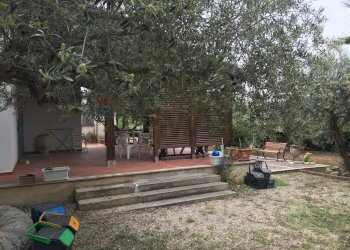 Giardino - Appartamento Chiaramonte Gulfi - foto 17