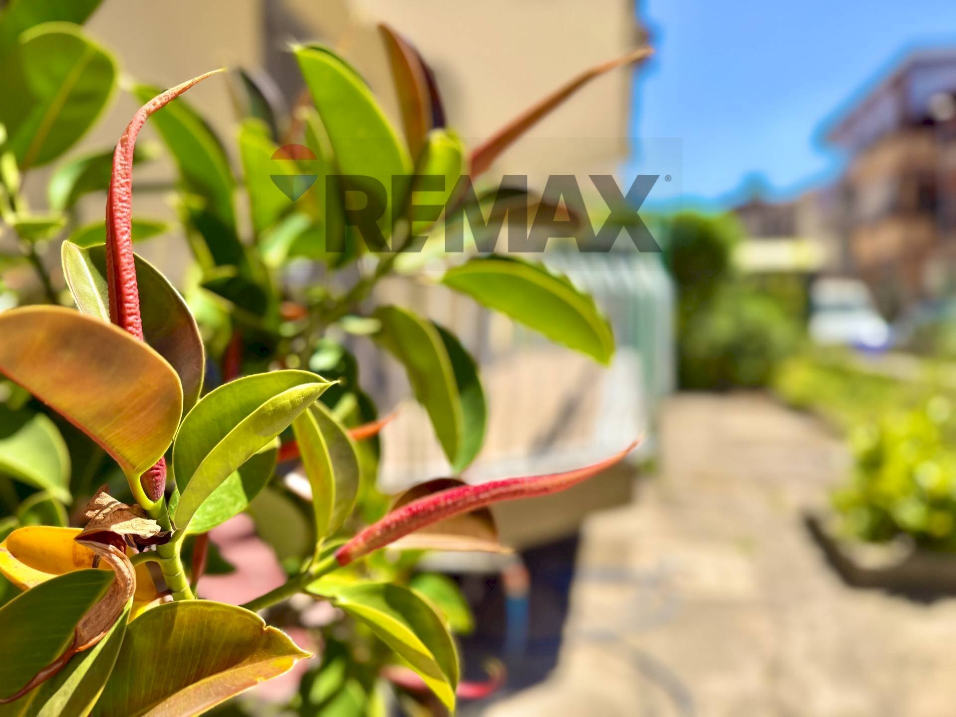 Dettagli - Four-room apartment VIALE DELLA REPUBBLICA
 
23, Villaricca - photo 1