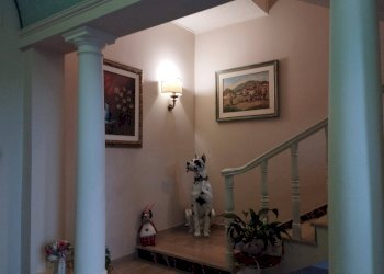Foto 29 - Villa Via Tosco Romagnola est
 
4, Montopoli in Val d'Arno - foto 29