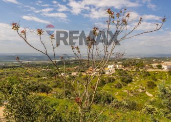 Vista delle montagne - Apartment Via Guicciardini
 
39, Mottola - photo 26