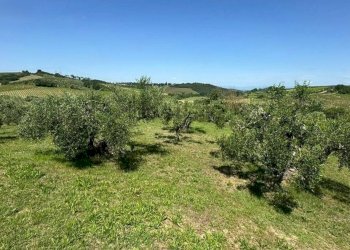 Foto 12 - Villa Strada Provinciale Volterrana, Montespertoli - foto 12