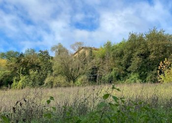 Foto 16 - Villa località pimaggiore
 
5, Vicchio - foto 16