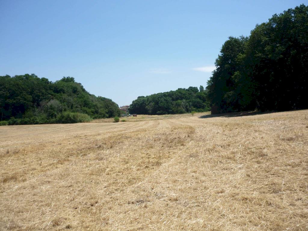 Terreno - Rustico via Aurelia, 2497, Fiumicino - foto 3