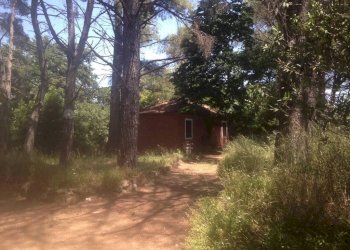 Terreno - Rustico via Aurelia, 2497, Fiumicino - foto 9